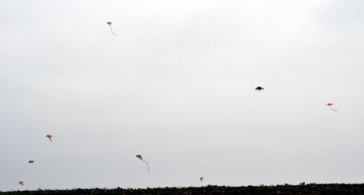 dsc-2027.jpg